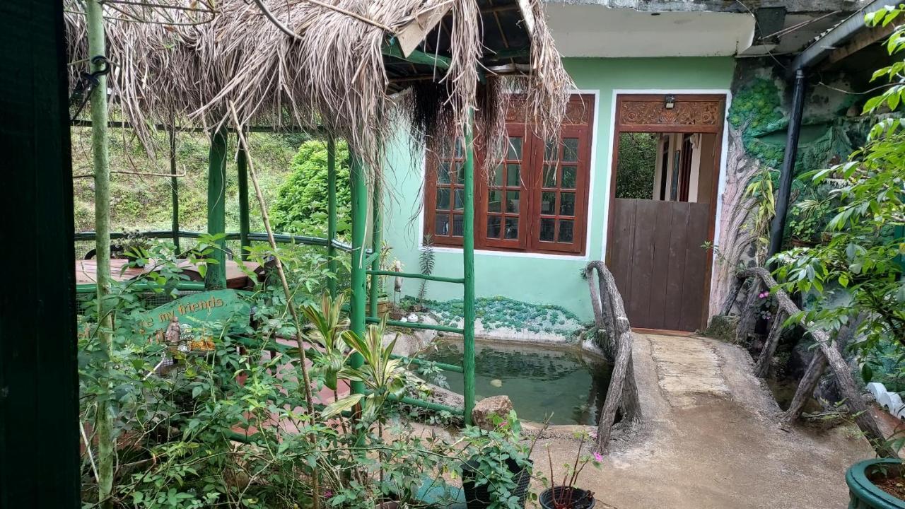 Green House Nallathanniya Buitenkant foto